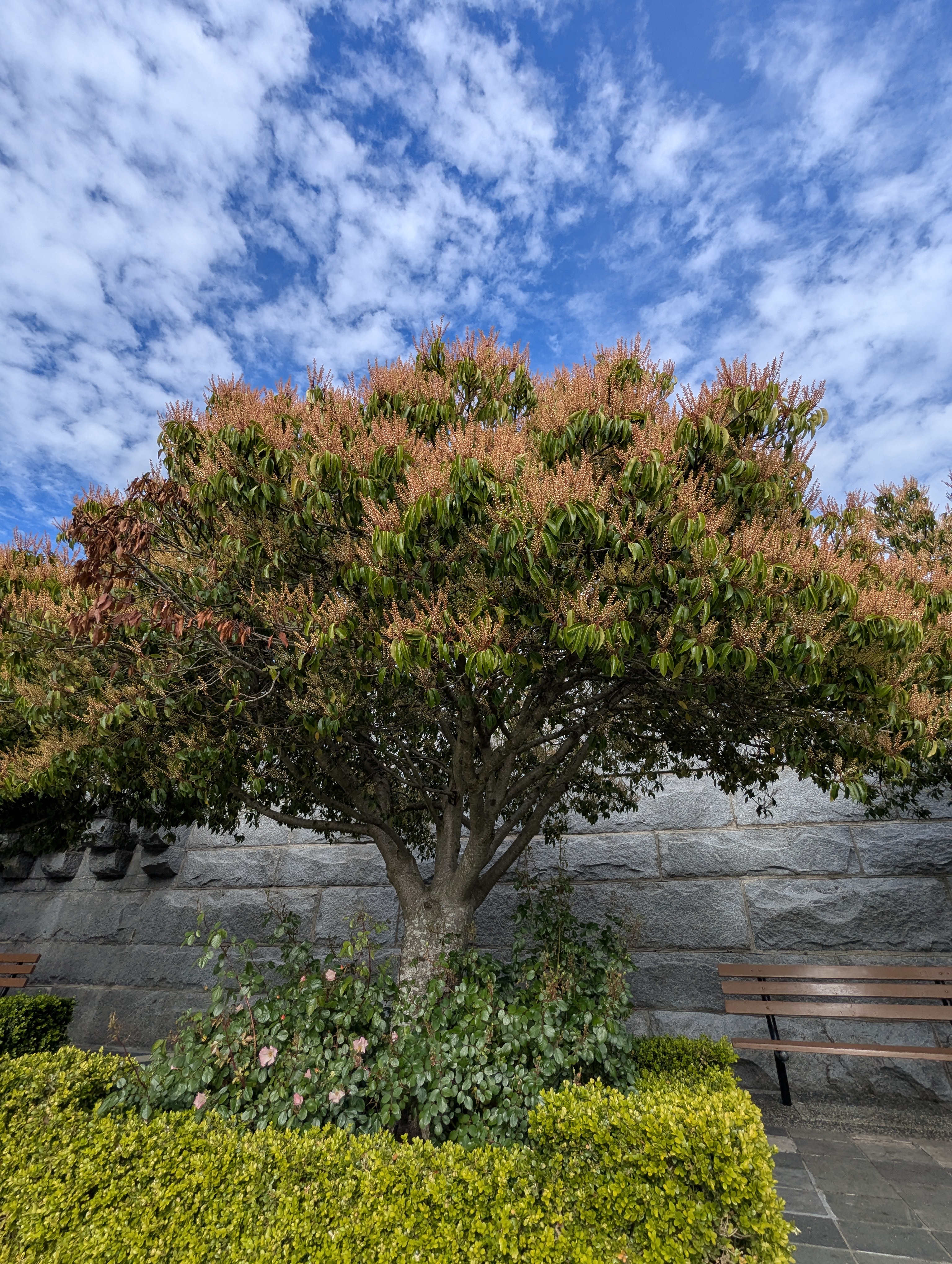 Birthday Trip to Canada, Victoria, Vancouver Island